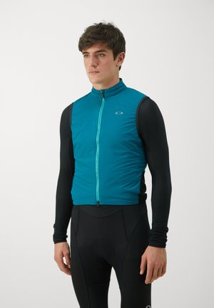 ENDURANCE ALPHA VEST - Vest - new balsam
