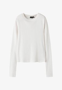 Niet geselecteerd, white alyssum