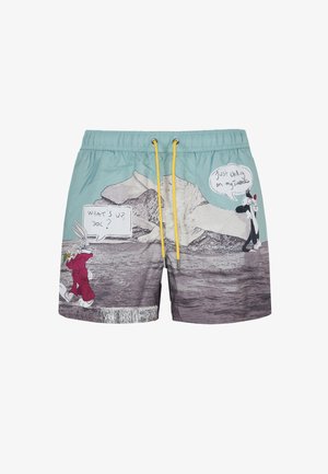 Costume da bagno di colore verde acqua con lacci gialli. Presenta personaggi dei cartoni animati su uno sfondo con nuvole di testo. Materiale in poliestere, vestibilità rilassata.