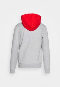 Sweat à capuche gris à manches longues avec une capuche rouge vif vue de dos, avec poignets et ceinture côtelés.