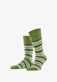 Unausgewählt, fir green