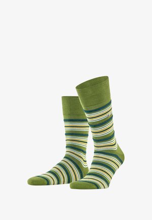 Chaussettes vertes avec des rayures horizontales dans différentes teintes, y compris jaune et bleu, dotées d'une bordure côtelée et d'un embout renforcé.