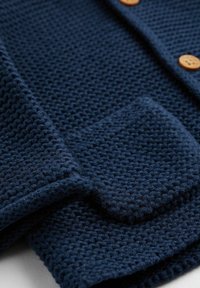 Next STANDARD - Kardigán - blue