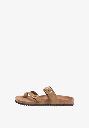 Friends Like These, REGULAR FIT - MULTI STRAP BUCKLE DETAIL CASUAL FOOTBED SANDALS FIT . - Zehentrenner - taupe faux suede