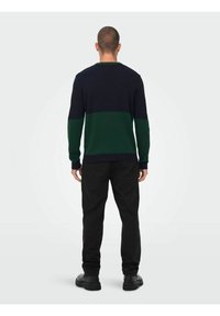 Maglione a righe navy e verde con scollo rotondo, realizzato in tessuto a maglia. Abbinato a pantaloni neri e scarpe scure. Vista dalla schiena.