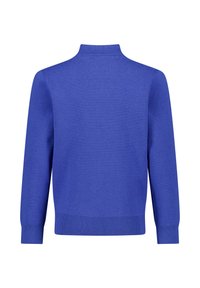 Blauwe gebreide trui met een hoge hals, geribde manchetten en zoom. Glad oppervlak, eenvoudig ontwerp en uniforme kleur. Achteraanzicht weergegeven.