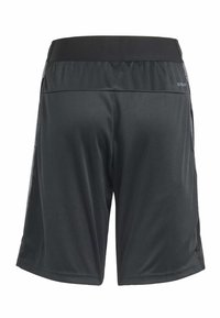 Pantalones cortos deportivos negros con una textura suave, cintura elástica y acentos de malla en contraste a los lados para mayor transpirabilidad.