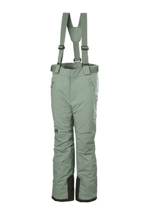 NO LIMITS - Pantalons de ski - cactus