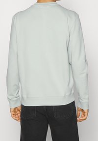 Felpa azzurra con collo a giro, tessuto strutturato, polsini e orlo a costine, e un design semplice e privo di decorazioni. Jeans neri visibili sotto.