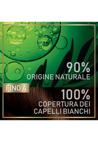 Garnier TINTA CAPELLI BELLE COLOR NATURALS COLORAZIONE PERMANENTE SENZA AMMONIACA AL 90% DI ORIGINE NATURALE - 2 PACK - Tinte capelli - castano luminoso (4.13)