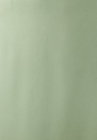 Ljusgrön tyg med en slät yta, utan mönster eller dekorationer, som har en jämn, matt finish. Lämplig för olika textiltillämpningar.