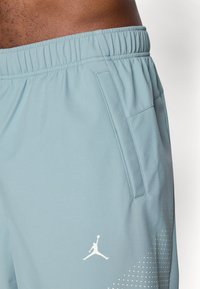 Lyseblå treningsshorts med elastisk midjebånd, sidelomme og hvit Jumpman-logo. Har et prikkete mønster på kanten.