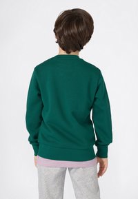 Felpa verde con girocollo e maniche lunghe, realizzata in materiale morbido. Presenta polsini e orlo a coste, indossata sopra una camicia di un leggero colore viola.