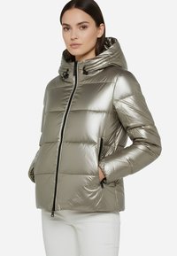 Giacca imbottita argentea con cappuccio, caratterizzata da una finitura lucida, chiusura a zip frontale e due tasche laterali. Design trapuntato testurizzato con accenti neri.