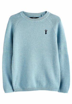 Hellblauer gestrickter Pullover mit langen Ärmeln, geripptem Kragen, Bündchen und Saum, mit einem kleinen dunklen Hummer-Emblem auf der linken Brust.