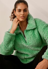 Next BORG HALF ZIP - Fliisdžemper - green