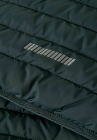 Tume roheline tikitud kangas horisontaalse õmblusega ja peegeldava hõbedase triibulise logoga keskel, mille all on mustriline kangast ääris.