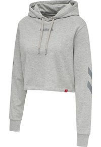 Haut en coton gris cintré avec une capuche, cordons de serrage gris clair et accents de style sportif sur les manches. Étiquette logo rouge au bas.