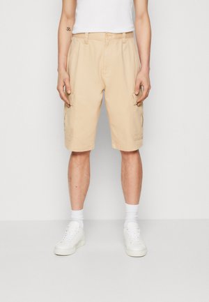 Tommy Jeans, AIDEN BAGGY CARGO - Shorts - trench