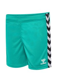 Turkosa träningsshorts med elastisk midja, prydda med ett svartvitt chevronmönster på sidorna och en liten logotyp framtill.