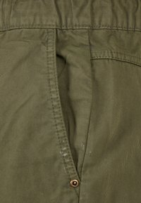 Southpole TWILL - Šortky - olive