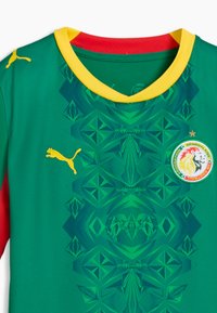 Maillot de football vert avec un col jaune, une encolure intérieure rouge, des motifs géométriques, un logo Puma jaune et l'emblème de la fédération de football du Sénégal avec une étoile.