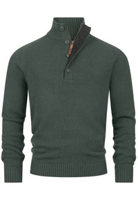 Grüner Strickpullover mit hohem Kragen, halbem Reißverschluss und drei Knöpfen. Rippenbündchen und Saum, mit einem kontrastierenden Stoff am Kragen.