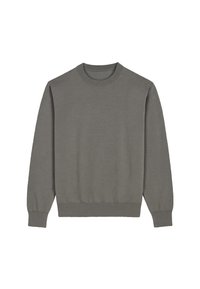 Felpa grigia realizzata in tessuto morbido, con scollo rotondo, maniche lunghe e polsini e orlo a costine. Design semplice e privo di decorazioni.