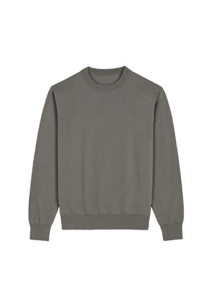 Felpa grigia realizzata in tessuto morbido, con scollo rotondo, maniche lunghe e polsini e orlo a costine. Design semplice e privo di decorazioni.