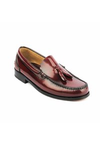 Mocasines de cuero marrón con un acabado brillante, cuentan con un tassel decorativo en la parte delantera, detalle de costura a lo largo de los bordes y un tacón bajo.