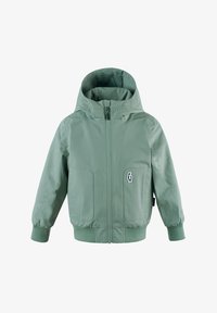 Non sélectionné, iceberg green