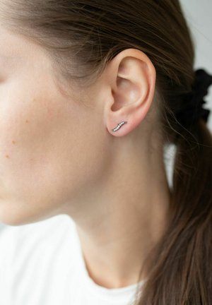 Wildcat Ohrringe - wasserfest hochglanzpoliert