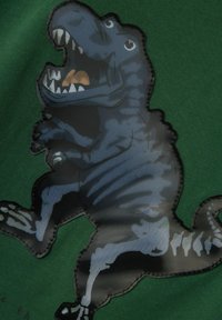 Roheline kangas, millel on karikatuurilaadne dinosaurus tumesinise ja halli värvigammaga, kus on selgelt väljendatud jooned, detailid ja nähtavad õmblused.