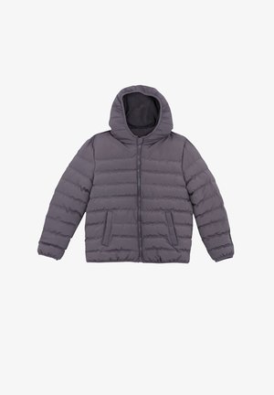 DeFacto REGULAR FIT - Vinterjakker - grey