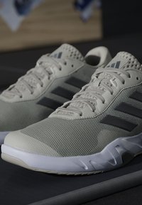 Lys grå treningssko med et teksturert mesh-overside, tre svarte striper og en hvit gummi såle, med polstret krage og lisser.
