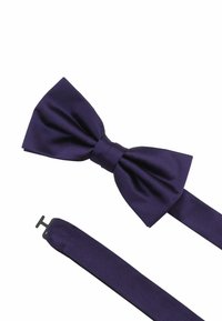 Seidenfalter Fliege - lila