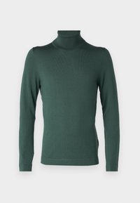 Pull à col roulé vert en tissu tricoté doux. Comprend des manches longues et une silhouette ajustée avec un col haut. Texture lisse.