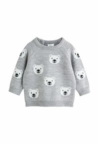 Unselected, grey bear