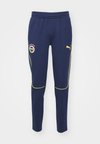 FENERBAHCE ISTANBUL CASUALS PANTS - Klubové oblečení - club navy/speed yellow