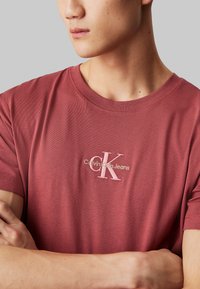 Calvin Klein Jeans MONOLOGO TEE - Camiseta básica - apple butter