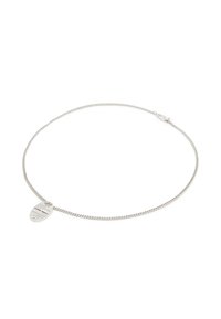 AllSaints SIGNATURE DOG TAG PENDANT  - Collana - silver coloured