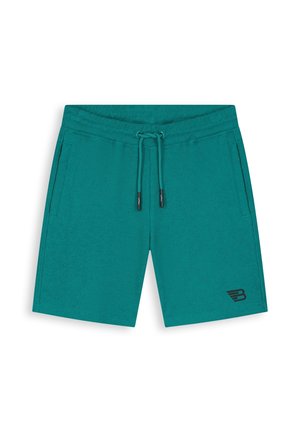 Turkooizen sportshort met koordsluiting in de taille, zijzakken en een klein zwart logo op het onderste deel van het linkerbeen.