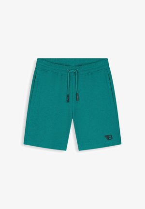 Turkooizen sportshort met koordsluiting in de taille, zijzakken en een klein zwart logo op het onderste deel van het linkerbeen.