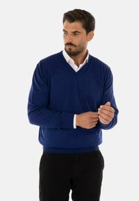 Maglione blu a collo a v con maniche lunghe, polsini e orlo ribattuti, indossato sopra una camicia bianca con colletto, abbinato a pantaloni neri. Texture liscia.