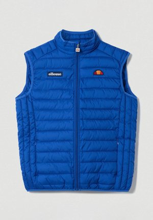 Koningblauwe geïsoleerde vest met een hoge kraag, voorzien van horizontale quiltpatronen, een ritssluiting aan de voorkant en een klein logo op de borst.