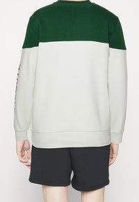 Lichtgrijze sweat met een donker groene bovenzijde, geribbelde halslijn en manchetten; gedragen met zwarte shorts; effen ontwerp, zonder patronen.