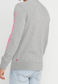 Sweatshirt à manches longues gris avec impression graphique rose sur la manche gauche, poignets et ourlet côtelés, fabriqué en tissu mélange de coton doux.