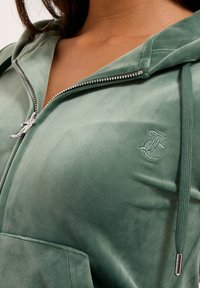Felpa verde velluto con zip argentata, tasca a marsupio e logo ricamato. Presenta un cappuccio regolabile e una texture liscia.