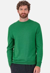 Mann mit lockigem Haar und Bart, der einen einfarbigen grünen Pullover mit langen Ärmeln und dunkle Hosen trägt, vor einem einfarbigen hellen Hintergrund steht.