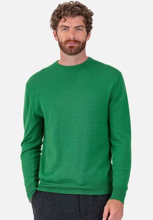 Homme aux cheveux bouclés et barbe, portant un pull vert uni à manches longues et un pantalon foncé, se tenant devant un arrière-plan clair uni.